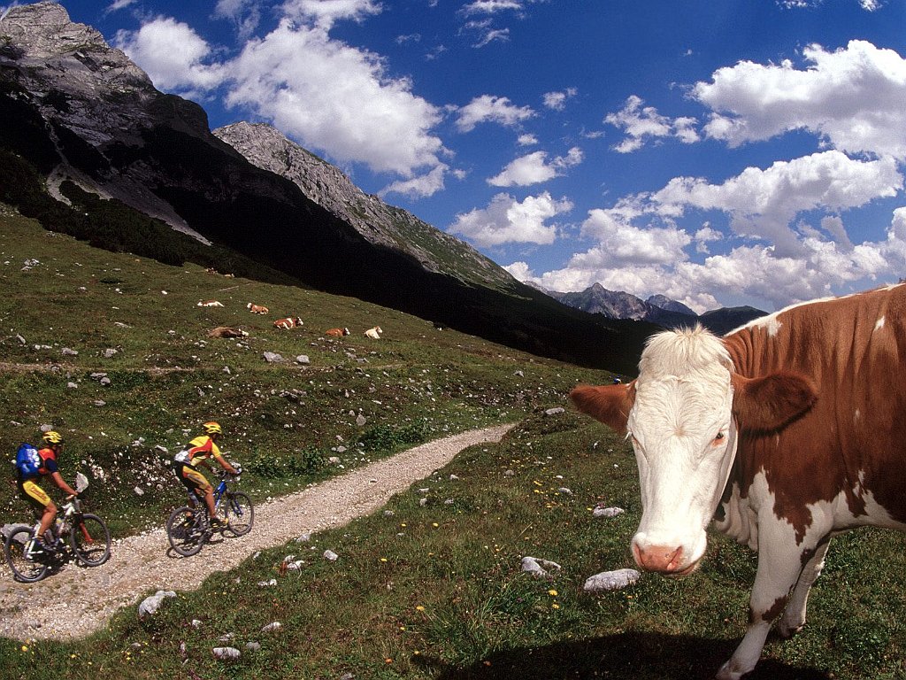 TransAlp Challenge, Scharnitz, Austria